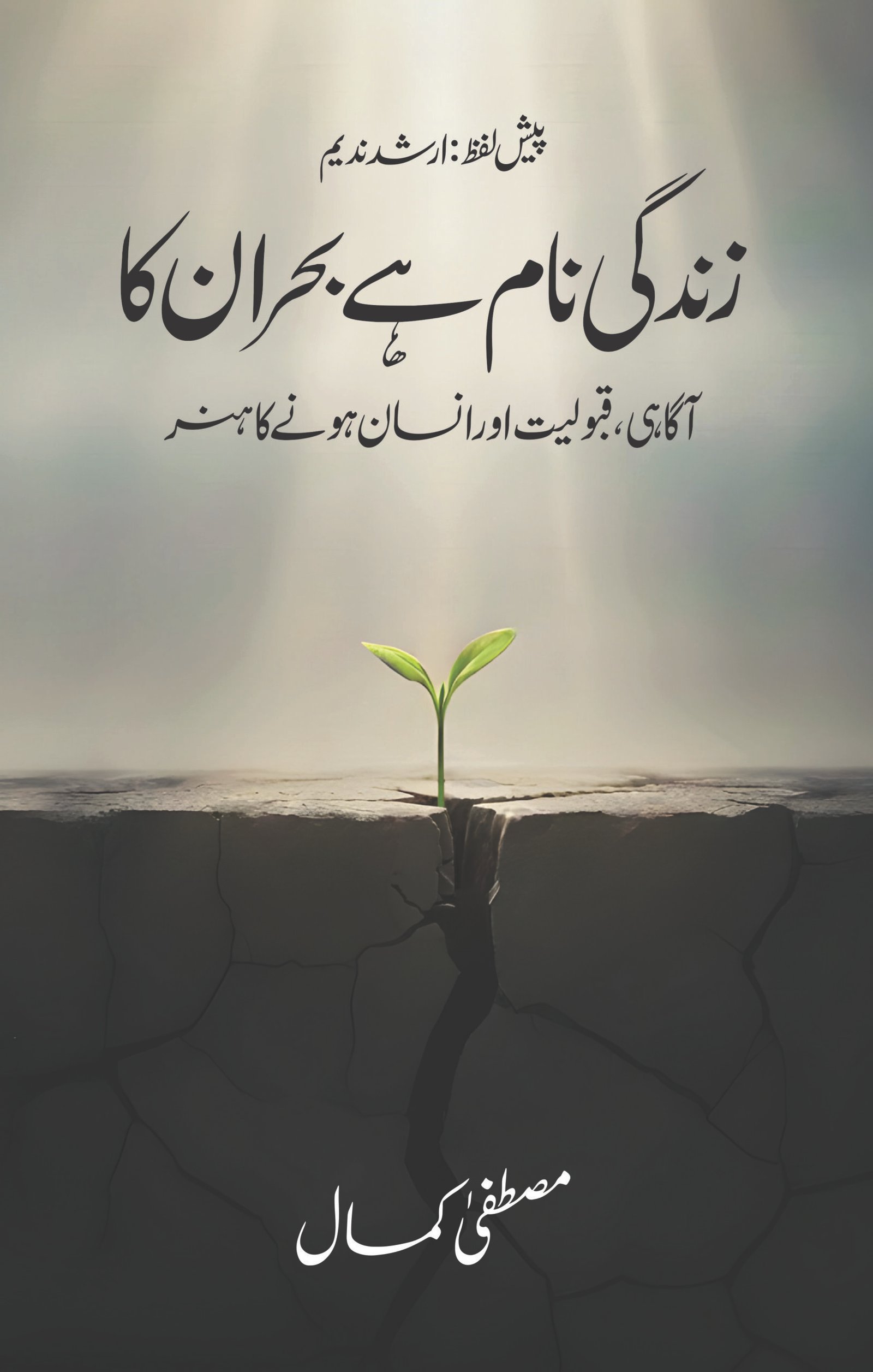 Life is Crisis - Urdu